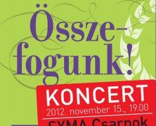 Összefogunk! önkéntes